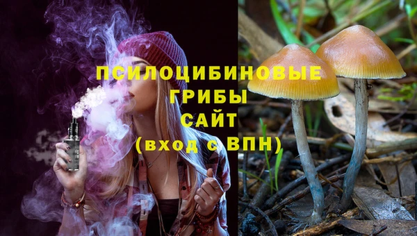 гидропоника Аркадак