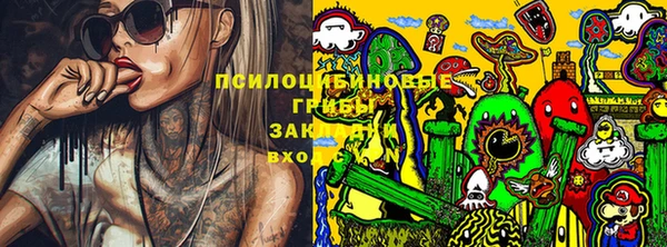 гидропоника Аркадак