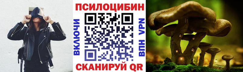 Псилоцибиновые грибы Cubensis  как найти наркотики  Полярные Зори 